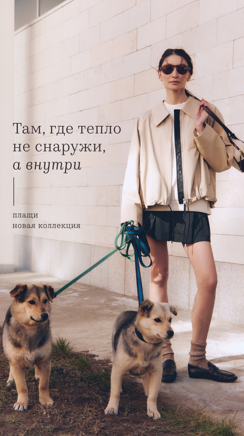 Описание изображения