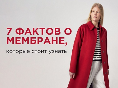 7 фактов о мембране