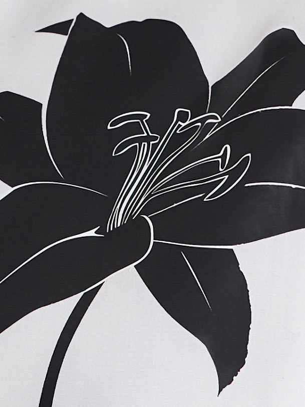 Хлопковая блуза на пуговицах с контрастным принтом